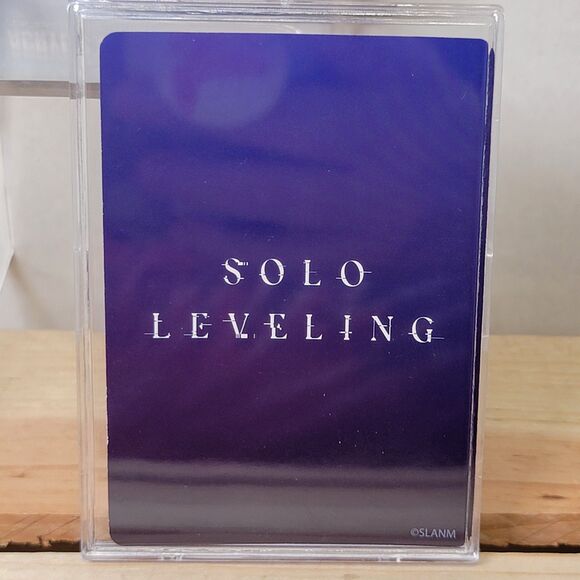 Solo Leveling Acrylic Card w/ Holographic Effect Layers - Cha Hae-In - NEW - Picture 2 of 4